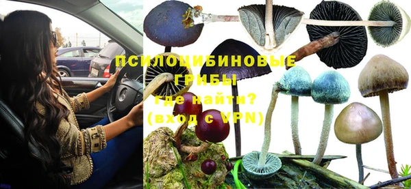 шишки Тобольск