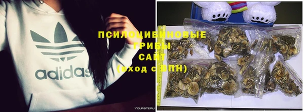 шишки Тобольск