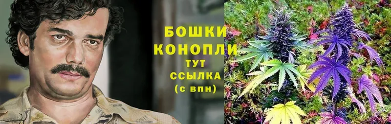 блэк спрут как войти  цены наркотик  Харовск  Бошки марихуана White Widow 